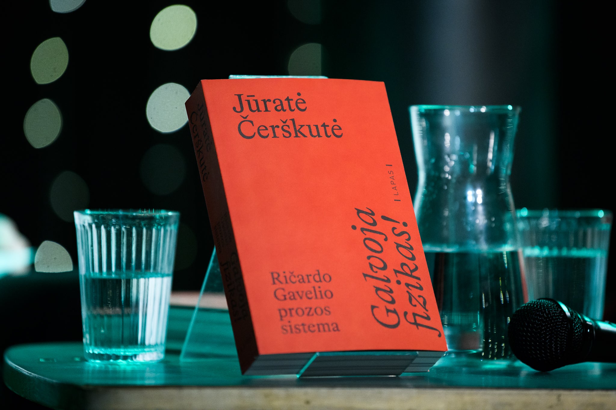 Galvoja fizikas! Ričardo Gavelio prozos sistema