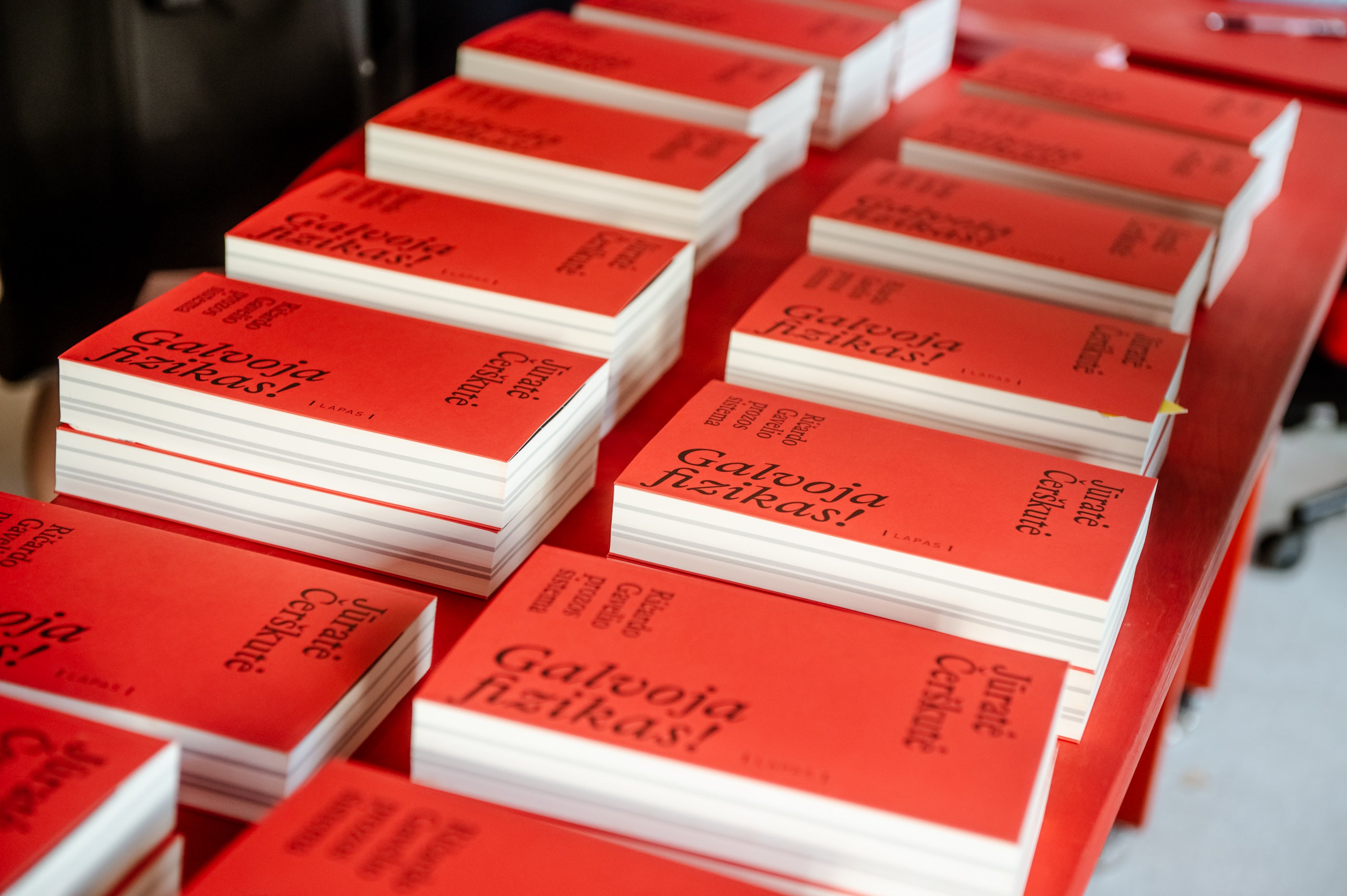 Galvoja fizikas! Ričardo Gavelio prozos sistema