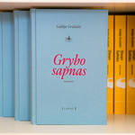 Įkelti vaizdą į galerijos rodinį, Grybo sapnas
