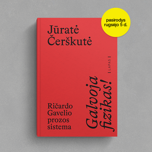 Galvoja fizikas! Ričardo Gavelio prozos sistema