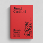 Įkelti vaizdą į galerijos rodinį, Galvoja fizikas! Ričardo Gavelio prozos sistema
